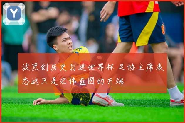 波黑创历史打进世界杯 足协主席表态这只是宏伟蓝图的开端
