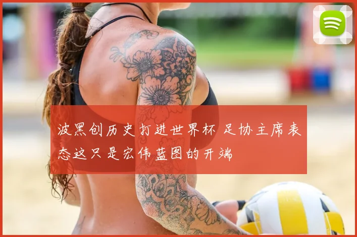 波黑创历史打进世界杯 足协主席表态这只是宏伟蓝图的开端