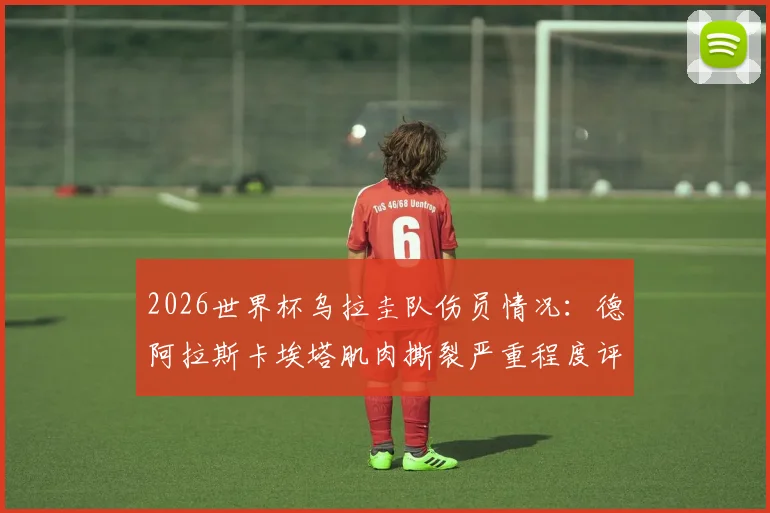 2026世界杯乌拉圭队伤员情况：德阿拉斯卡埃塔肌肉撕裂严重程度评估，带伤坚持参赛的具体影响与上场可能分析