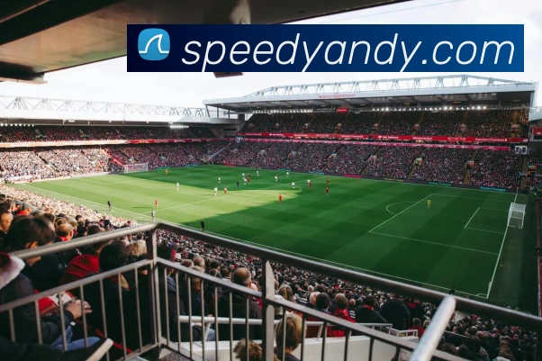 贝博体育平台生态图